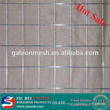 Hot sale 2x2 galvanized welded wire mesh for fence panel